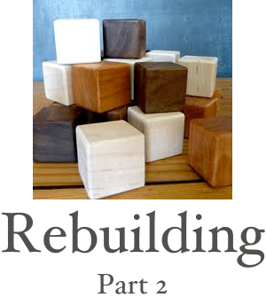 ￼
Rebuilding
Part 2