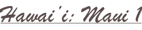 shapeimage_2_link_14