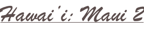 shapeimage_2_link_15