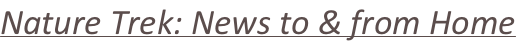shapeimage_2_link_16