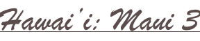 shapeimage_2_link_17