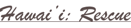 shapeimage_2_link_25