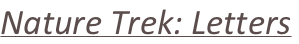 shapeimage_2_link_29