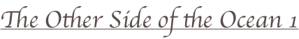 shapeimage_2_link_30