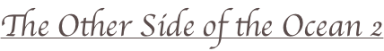 shapeimage_2_link_31