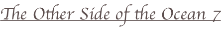 shapeimage_2_link_36