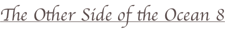 shapeimage_2_link_37
