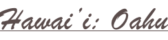shapeimage_2_link_8