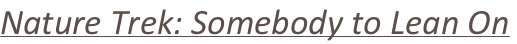 shapeimage_2_link_9